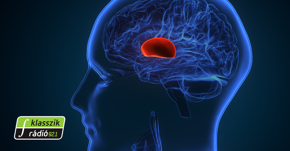 Klasszik Bel Agy Poszt Copy