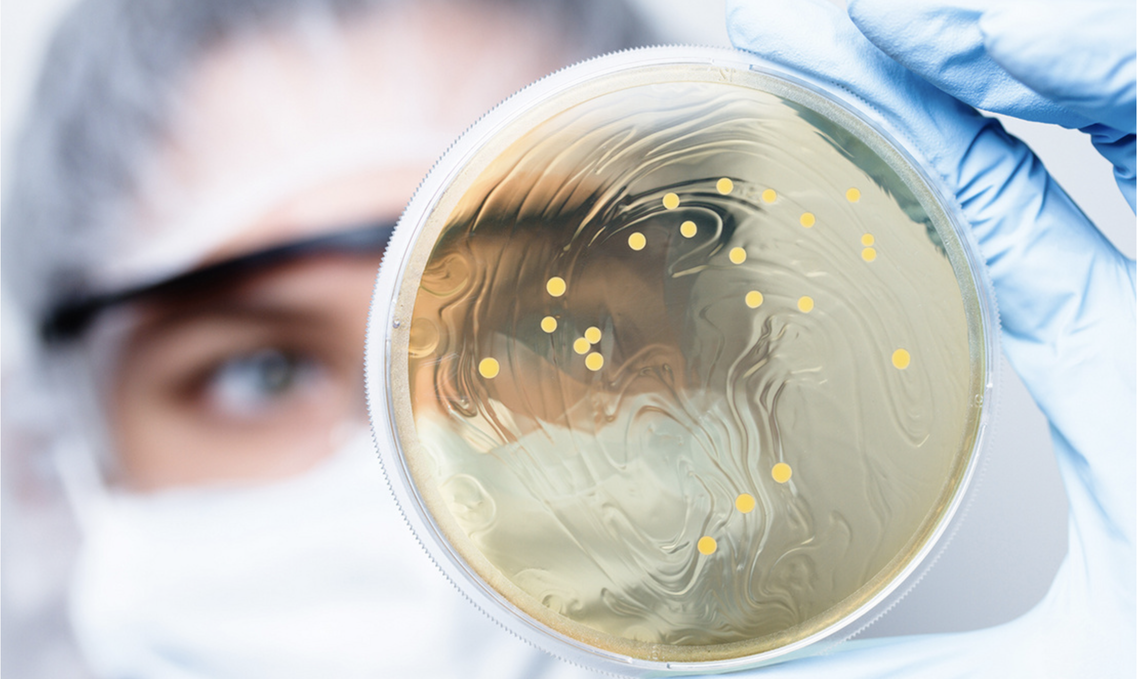 Screenshot 2021 11 22 At 1541 12